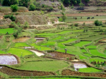 terres_agricoles.png