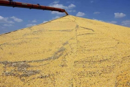 texas.jpg