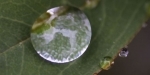 biodiversité.jpg
