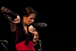 paloma fantova fernández.jpg