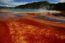 yellowstone.jpg