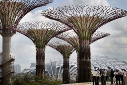 singapour.jpg