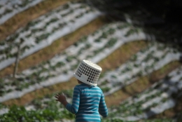 honduras.jpg