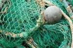 pêche.jpg