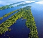 amazonia2_1_.jpg