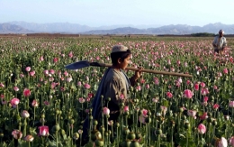afghan.jpg