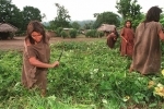 indiens ashaninka.jpg