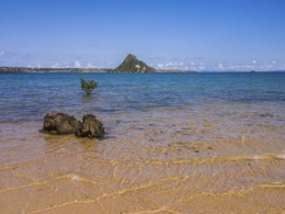 plage-d-afrique-1_5010277.jpg
