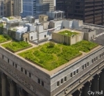 green_chicago_Par_24442_Image_-1_-1_1.gif