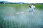 Pesticides.jpg