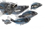 poissons-mecaniques.jpg