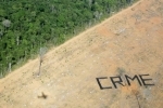 deforestation-amazonie_379.jpg