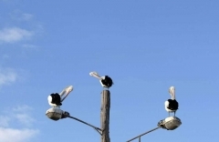 1245504539_790559_fotonoticia_normal.jpg
