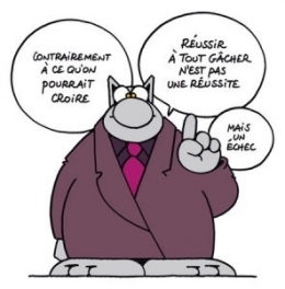 le chat.jpg