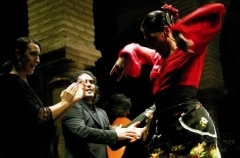 flamenco.jpg