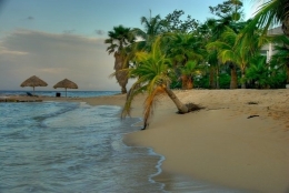jamaïque.jpg