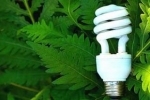 chine fluo.jpg