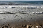 mediterranée.jpg