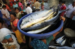 mumbai.jpg