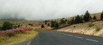 lozere.jpg