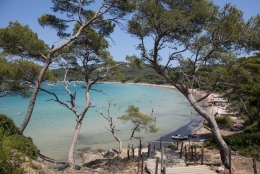 la-plage-d-argent-a-porquerolles.jpg