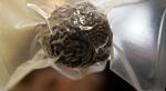 truffe.jpg