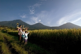 bali.jpg
