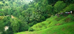 bali.jpg