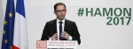 hamon.jpg