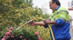 pesticides.jpg