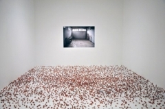 tapis.jpg