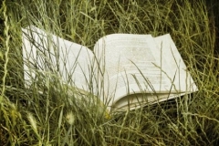 livres.jpg