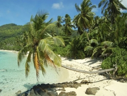 ile-privee.jpg