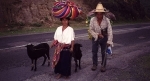 guatemala.jpg
