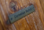 gurlitt.jpg