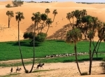 sahel_chevres.jpg