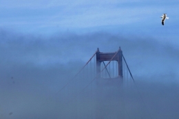 san francisco.jpg