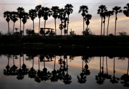 cambodge.jpg