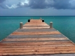 2009_11_07_caiman_iles.jpg