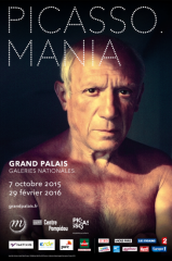 picasso_page_expo_0.png