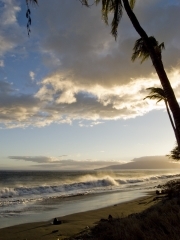 maui.jpg