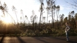 landes.jpg