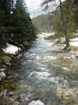 Cours+d-eau+-dans-les+pyrennes-Montagne-cauterets+026.jpg