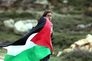 palestine.jpg