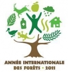 annee-internationale-forets.jpg