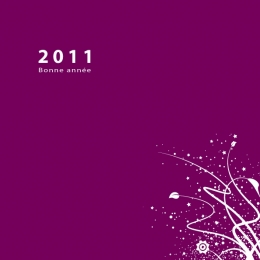 2011-5.jpg