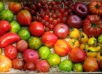 pesticides.jpg