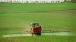 pesticides.jpg