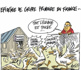 grippe-aviaire-primaires-mutio.jpg