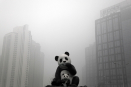 chine.jpg
